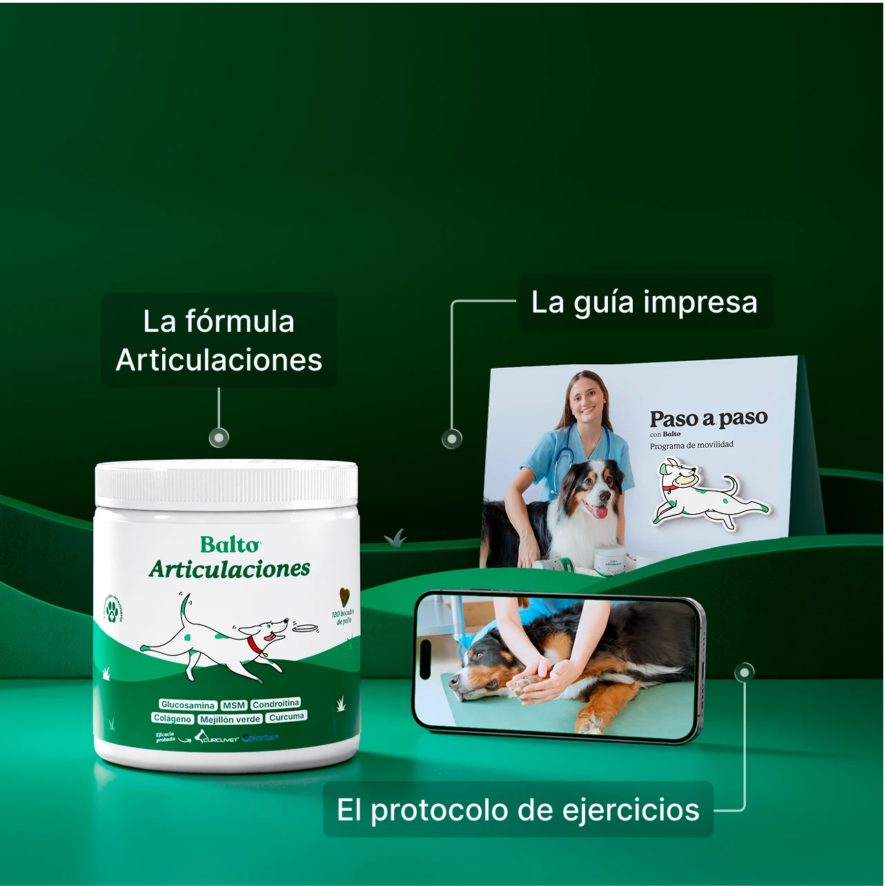 El programa Paso a paso: la fórmula Articulaciones, la guía impresa y el protocolo de ejercicios
