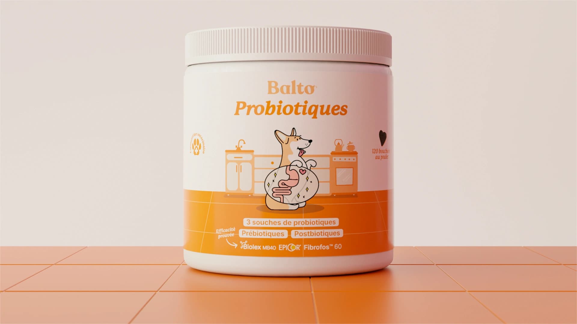Probióticos