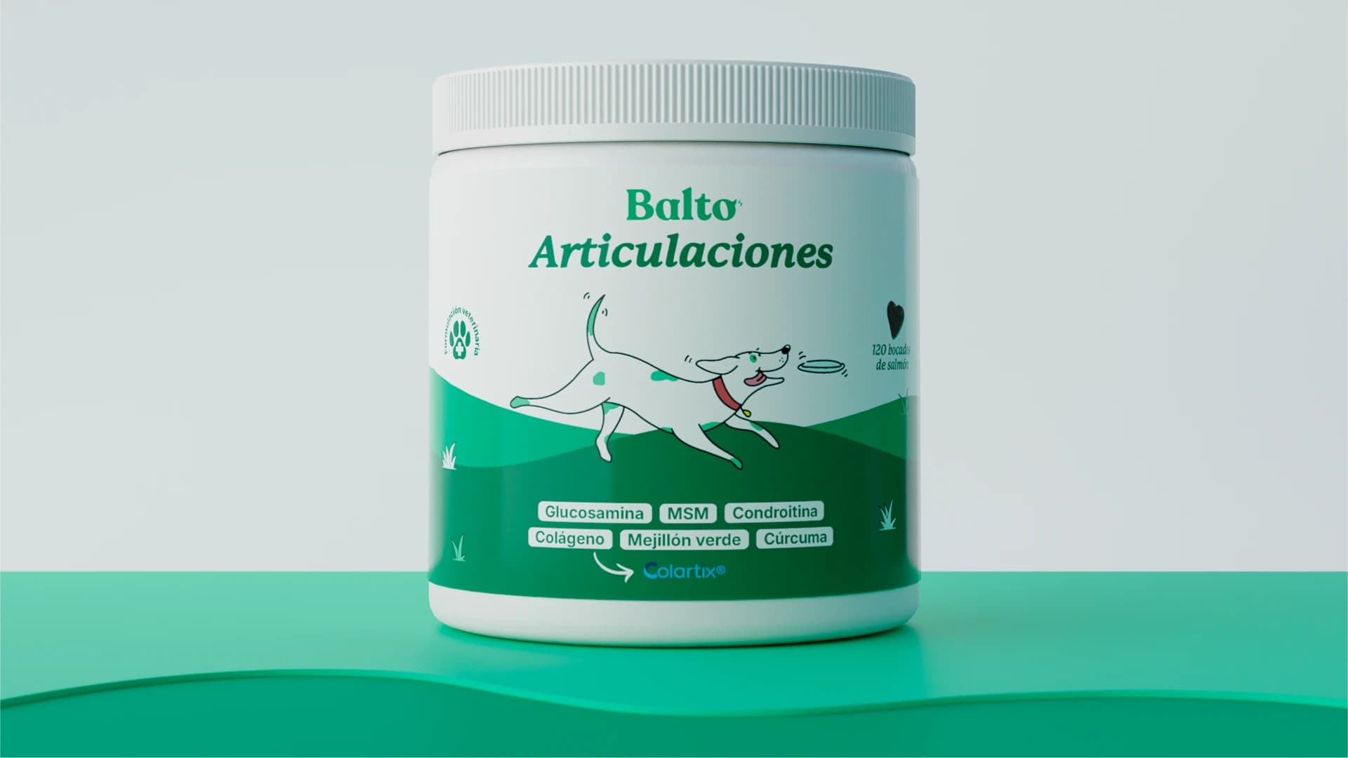 Articulaciones